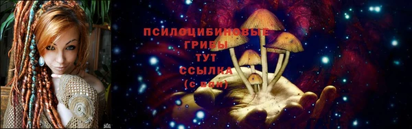 мяу мяу мука Коряжма