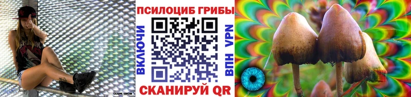 Псилоцибиновые грибы прущие грибы  сайты даркнета формула  Красавино 