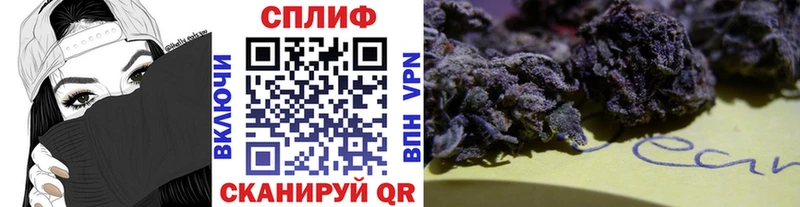 Каннабис план  дарк нет состав  Красавино  сколько стоит 